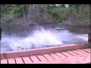 \"Sustainable Development in the Amazon\"
