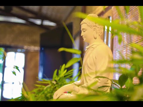 NIKAYA Thiền Quán - Con Đã Về Núi Linh Thứu *