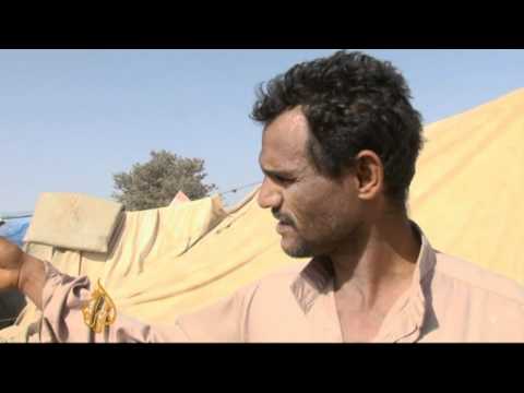 yemeni