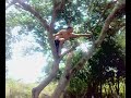 los ingeniebrios tirandose al aroyo.. los ingeniebrios tirandose al aroyo..