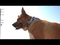 Brooke White - Free - Music Video Brooke White - Free - Music Video
