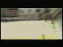 The only official video of 