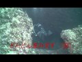 Theガイド　「MARINE STAR 西山さん」