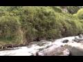 Musk Ox - sur une infinie route de terre