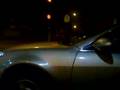COUGAR ON BAGS VS ALTIMA