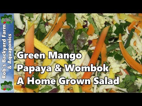 how to harvest papaya