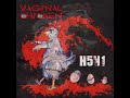 Vaginal Chicken - Mc Chicken