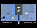 Elaborazione: Deltoide & Video simultaneo 7 9 '08