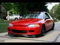 Civic Hatchback Tribute EG