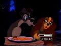 Dama y Vagabundo - (Versión Latina) Dama y Vagabundo - (Versión Latina)