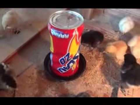 COMO FAZER UM BEBEDOURO AUTOMÁTICO, MANUAL