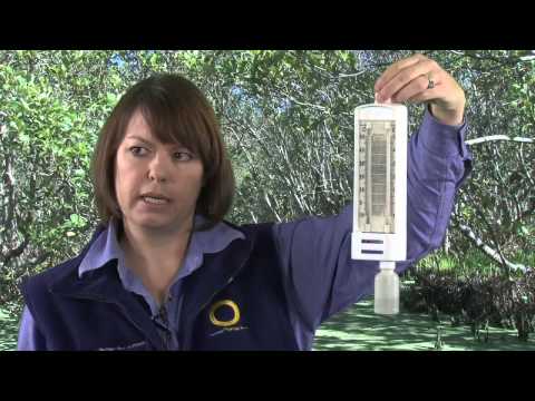 how to measure wet bulb temperature