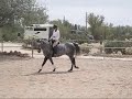Carmen dressage lesson 3