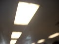 Mr. Nguyen\