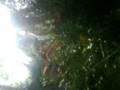 videos de ALOUSDE MOTO 181008 PICHEL 1