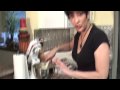 Today is NATIONAL SMORES DAY!! Learn how to make the PERFECT smores with a HOT Sexy CHEF! http://is.gd/2aOEL (@PrincessDi161)