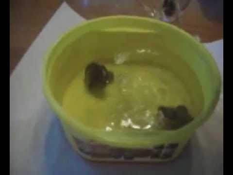 how to treat zoa pox