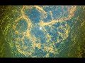 Neutron Star