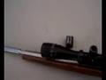 Custom Ruger 10/22 Ugly