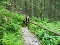 Tatry 2006