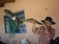 BERRANTE NA FESTA DO MILHO VERDE EM PARA�SO, POXOR�U, 2007