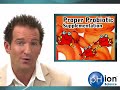 Probiotics - Optimal Colon Health Bifidobacterium