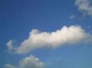 RC F16 MAIDEN FLIGHT RC F16 MAIDEN FLIGHT