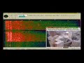 Landmark Tower Implosion - Accoustic Analysis