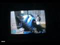 Halo 3 Film cilps