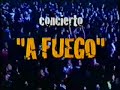 Summer Reggae concert en Carolina - Falo, Bam Bam y Mexicano