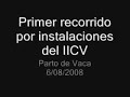 parto de baca iicv