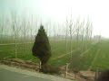 Chinese Countryside (Shaanxi) Chinese Countryside (Shaanxi)