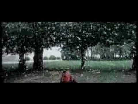 Meg - Simbiosi