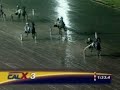 Harness Racing, Impossible Comeback! - Hitchhiker