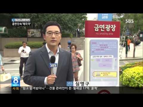 TV속의 서초(13.9.2-9.8)