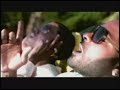 jim jones ft trey songz   summer wit miami