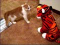 Dexter the Angry Kitten vs. Skee Ball Tigger