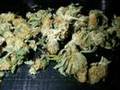 OG Kush - King Dub
