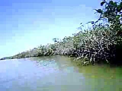 geodesia