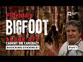 Part 1 Florida Skunk Ape - Animal X Classic