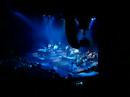 MIcheal Bublè a firenze -  Crazy little thing called love