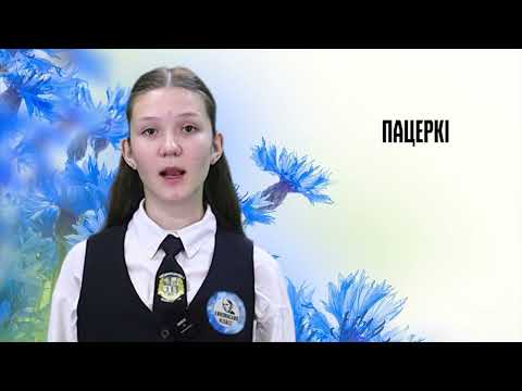 Родная мова. 29 выпуск. 12.07.26