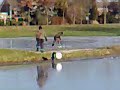 Schaatsen op de schaatsbaan in Goes-Zuid