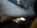 VID00009