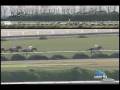 videos de [レースリプレイ] 081115 5京都3 09R 京都ハイジャンプ