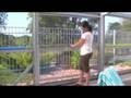 DynaDome Full-View Sliding windows