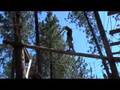back flip on log 24ft high - OUCH