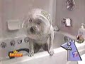 ¡ Ay Caramba ! ¡ Ay Caramba !