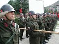 ılgın