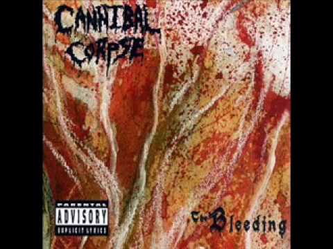 Tekst piosenki Cannibal Corpse - She Was Asking For It po polsku